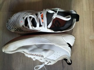 Jordan Luka 1 Safari Talla 37.5