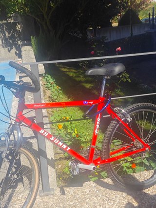 Bicicleta BH SUNNY P41S Roja