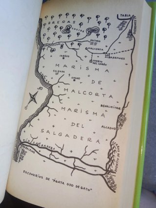 Ágata ojo de gato