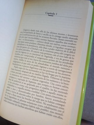 Ágata ojo de gato
