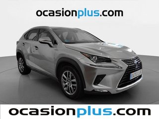Lexus NX 300h Executive Navigation 4WD 145 kW (197 CV)