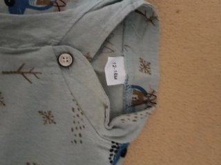 Lote 3 Camisas Niños Manga Corta