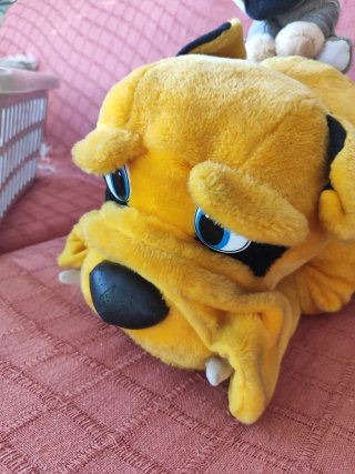 Lote 4 peluches perro