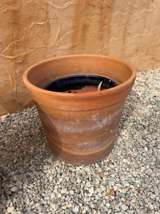 3 Macetas de Terracota Grandes 10 euros cada una