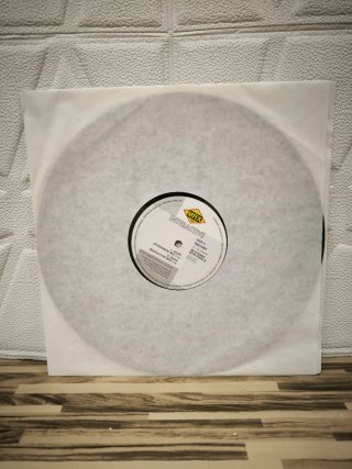 Vinilo Interactive Dildo