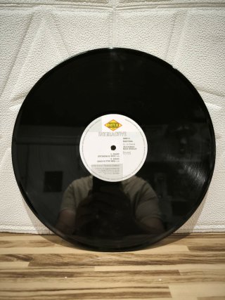 Vinilo Interactive Dildo