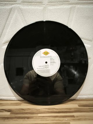 Vinilo Interactive Dildo