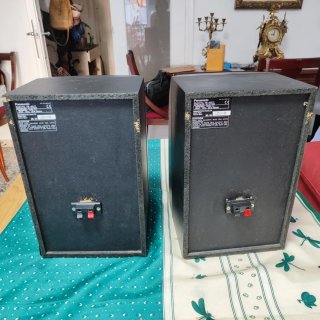 Altavoces Panasonic 2 Vías Negro