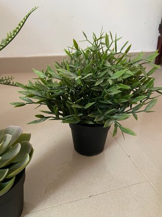 Plantas decorativas Ikea (3 unidades)