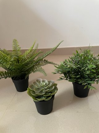 Plantas decorativas Ikea (3 unidades)