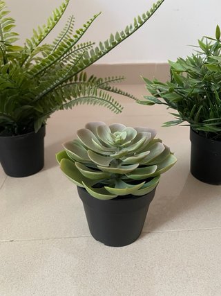 Plantas decorativas Ikea (3 unidades)