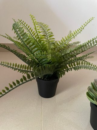 Plantas decorativas Ikea (3 unidades)