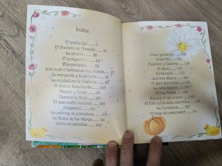 Mis cuentos preferidos