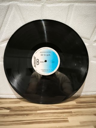Vinilo Encantos Postizos
