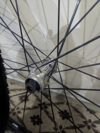 Ruedas DT Swiss R23 db