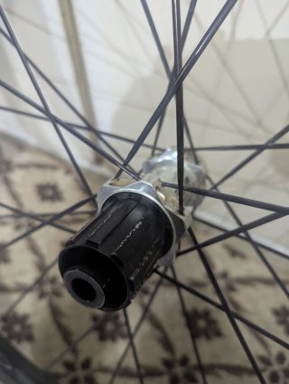 Ruedas DT Swiss R23 db