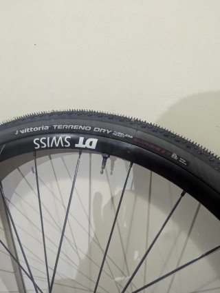 Ruedas DT Swiss R23 db