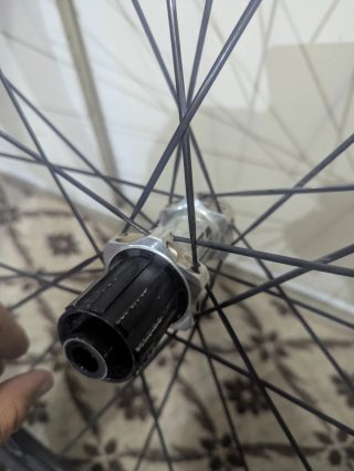 Ruedas DT Swiss R23 db