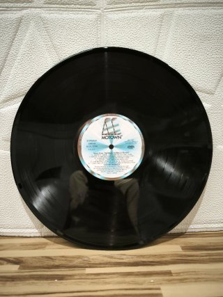 Vinilo Jungle Fever - Stevie Wonder