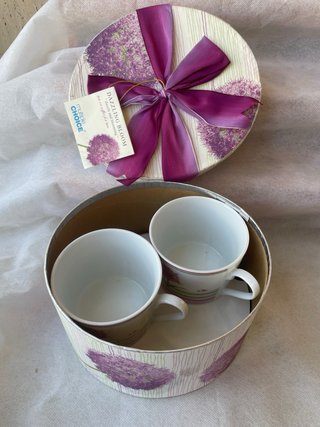 Juego 2 Tazas y Platos Dazzling Bloom