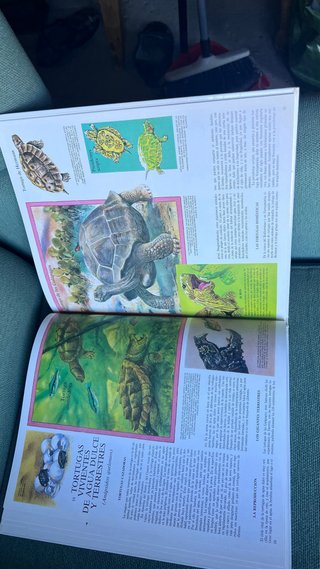 Reptiles Conquistan la Tierra, Los.
