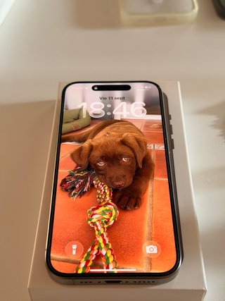 iPhone 15 Pro Titanio Natural + Fundas