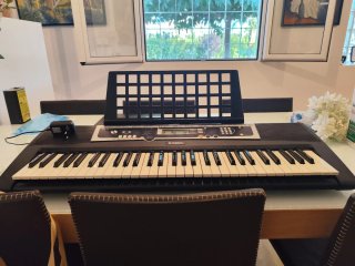 Teclado Yamaha YPT-210