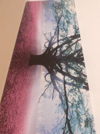 Cuadro  árbol de la vida rosa y azul