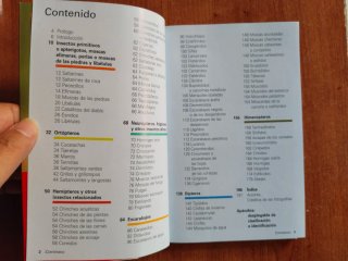 Lote 2 Guías de Naturaleza – Insectos + Minerales