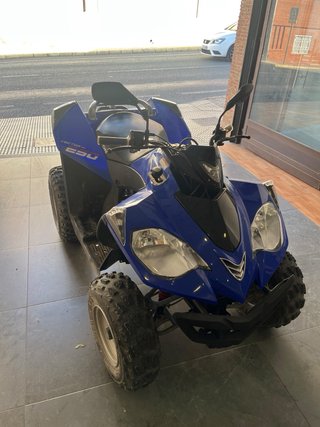 Quad E-TON Vector 250  o cambio x suzuki Samurai