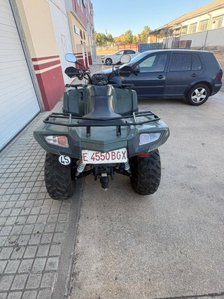 Arctic Cat Alterra 450 Verde
