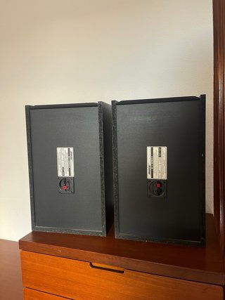 Pareja Altavoces Bose 301 Series III
