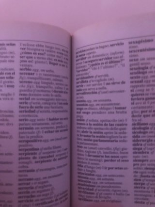 Entender y hacerse entender + diccionario esp/ital