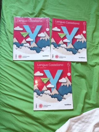 Lengua castellana, 5 Primaria