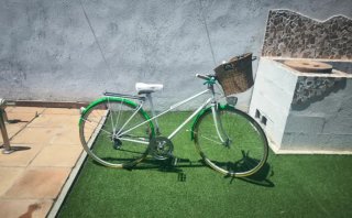 Bicicleta verde