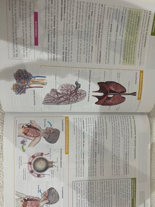 Anatomía aplicada, 1 Bachillerato