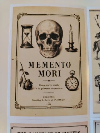 Pack 4 Pegatinas "Dark Academia" Vintage