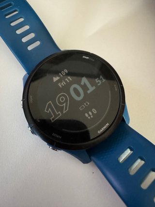 Garmin Forerunner 255 Azul
