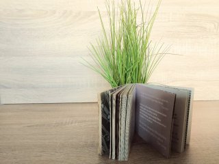 Mil vías hacia el optismismo (Spanish Edition)