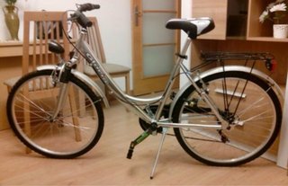 Bicicleta de paseo plateada