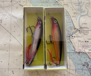 Lote 2 señuelos pesca Rapala XR10 - 324