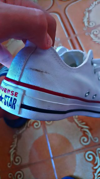 Converse Blancas