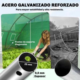 Invernadero túnel verde