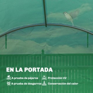 Invernadero túnel verde