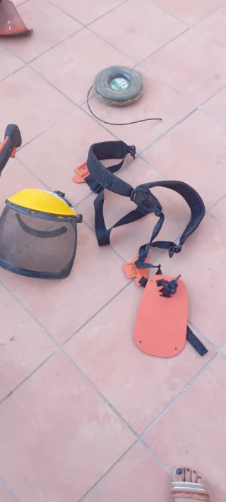 Desbrozadora Stihl FS 250