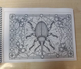 Libro para colorear