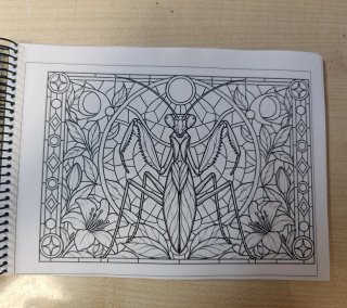 Libro para colorear