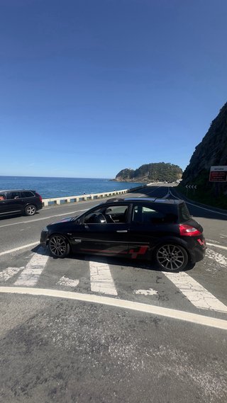 Renault Megane 225 2008