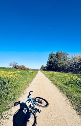 Bicicleta Gravel Rose Backroad talla 56