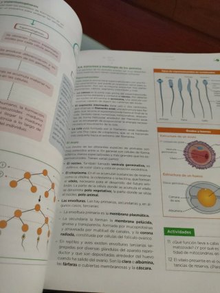 Biología, Geología y Ciencias Ambientales 1 Bac...